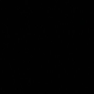 Meet your Posher, Amina